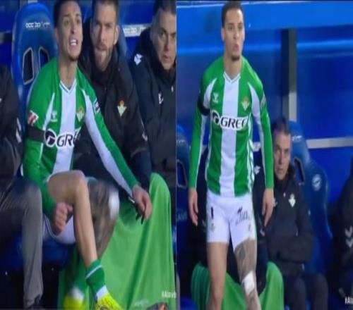 基耶利尼因,傷情退離本,期意大利國,太阳城,太阳城娱乐,太阳城app,太阳城赌场