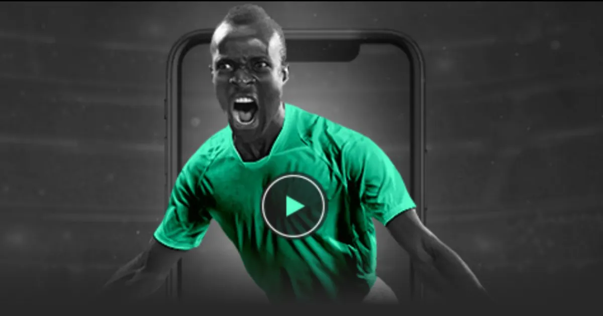 什琴斯尼坦,言最佳状态,尚待释放,太阳城,太阳城娱乐,太阳城app,太阳城赌场