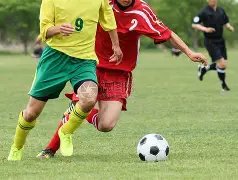 独家揭秘,内行大揭秘,亚冠幕后人,太阳城,太阳城娱乐,太阳城app,太阳城赌场